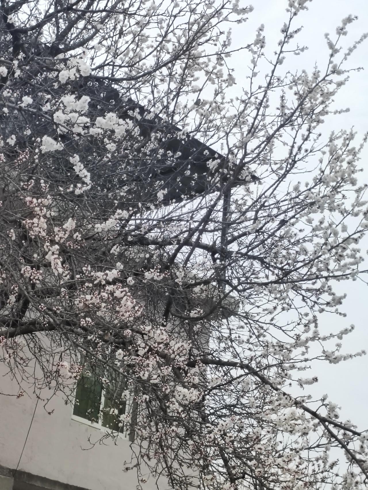 最好的友情，各自安好，互相牵挂
 人这一辈子，忙忙碌碌几十年，回头看，什么才是最