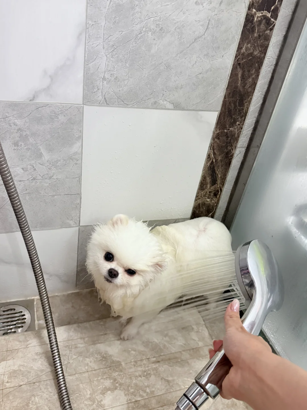 敢怒不敢言