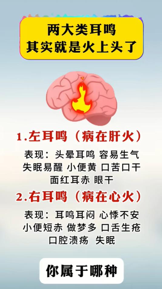 左耳易怒口苦、右耳心烦失眠，耳鸣根源不一样？