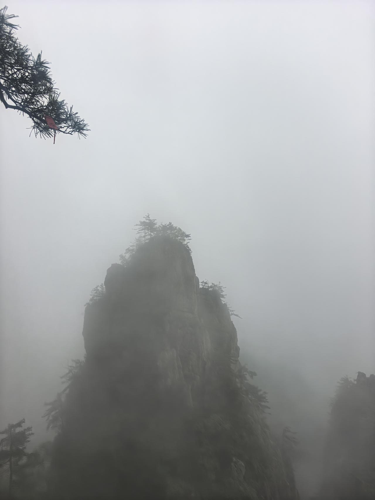 🌿命运会带你去见匹配你的人
								
“匹配”的意思是，在那个特定的时