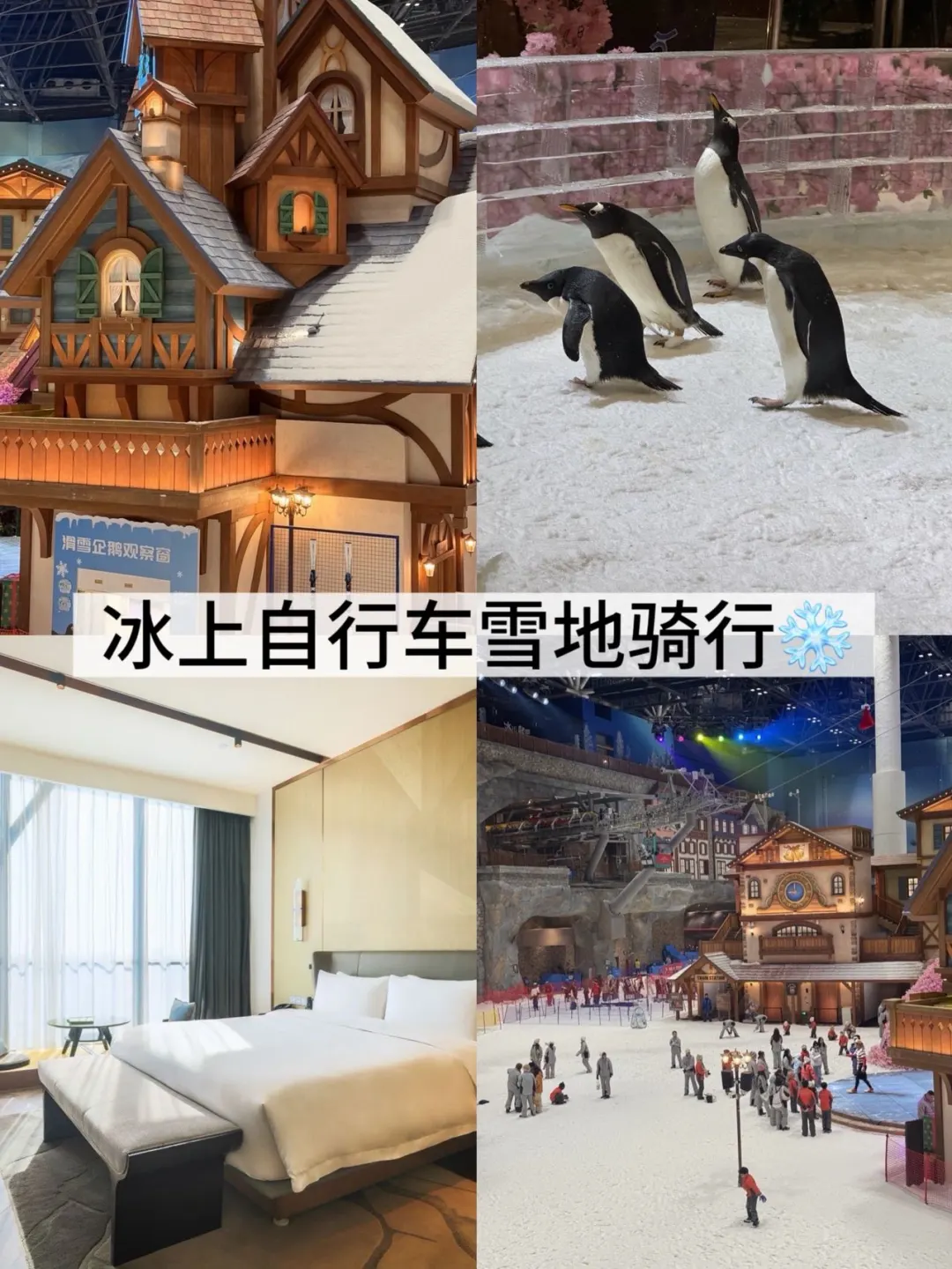 冰上自行车雪地骑行❄️