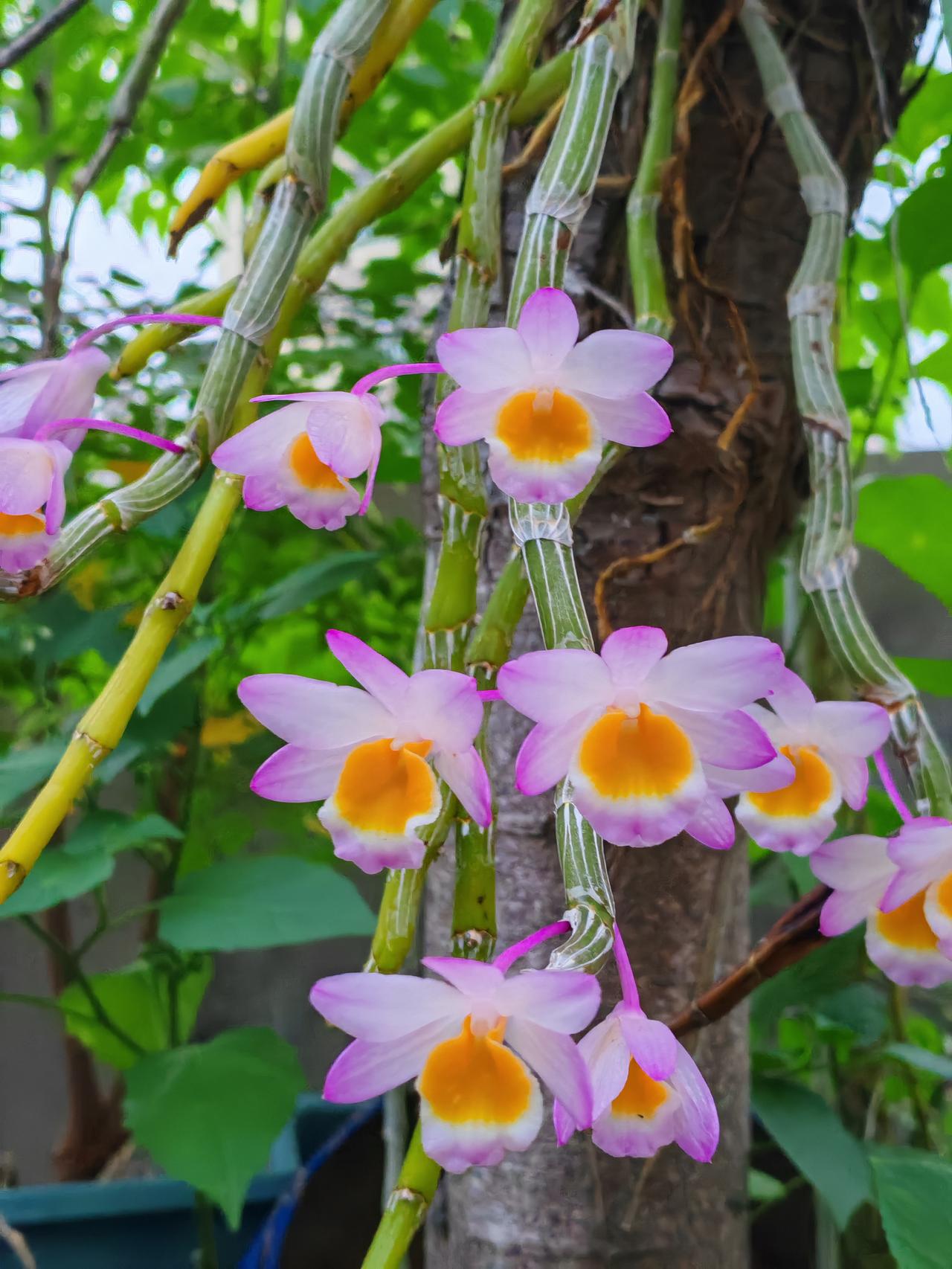 日月山河、风雨雷电，大自然一直都是人们创作的灵感源泉，古人如此，当今也一样。日出