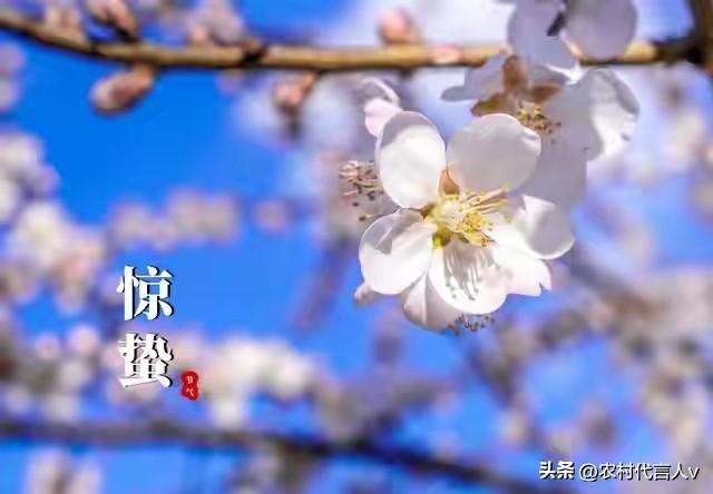 明晚21时59分惊蛰！牢记三个忌讳1不去、2不做3要忌，家旺财旺身体旺。
 
“