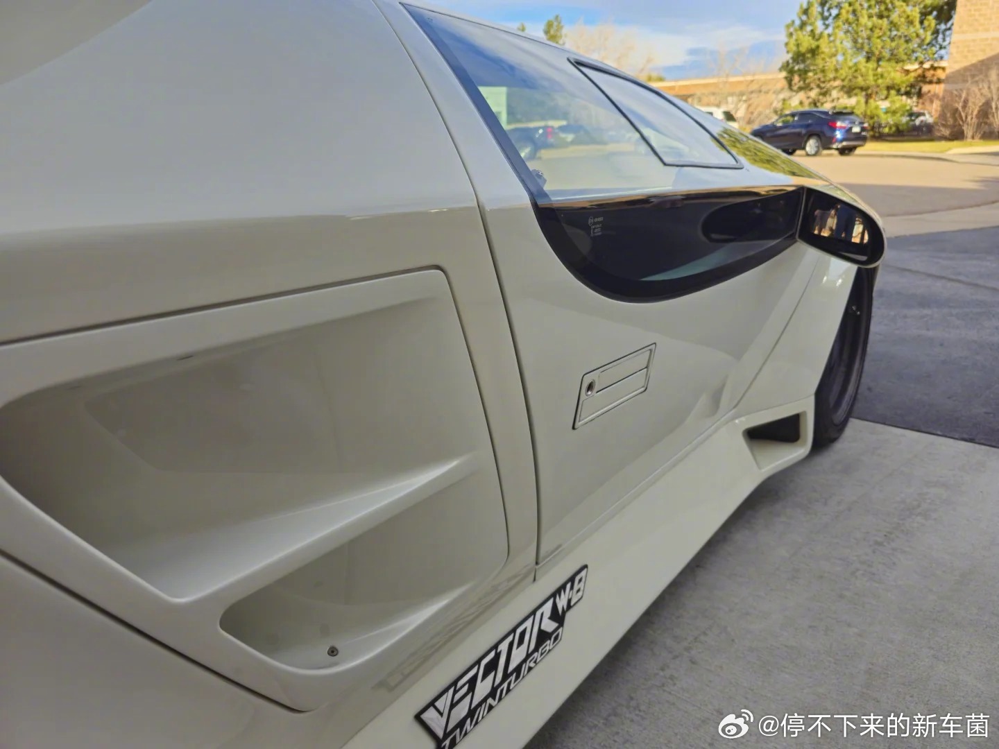 Vector W8，有点对眼，但是还挺好玩的