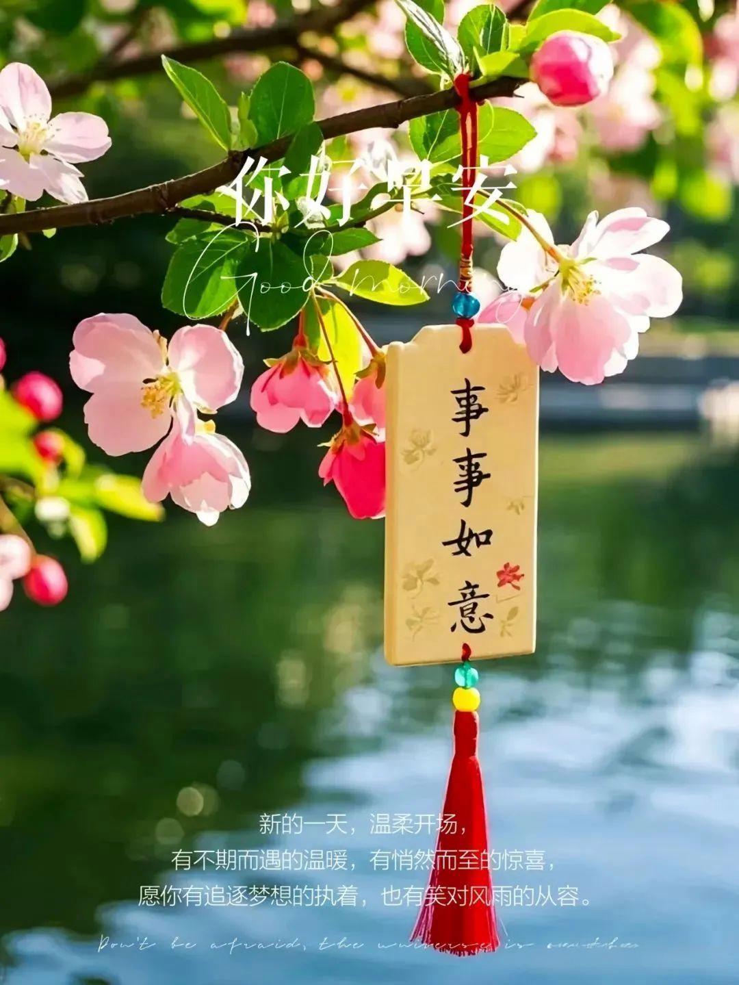 早安  2026-2-5，腊月十八，星期四，晴🌤     🪴➯ ʍօʀռɨռ