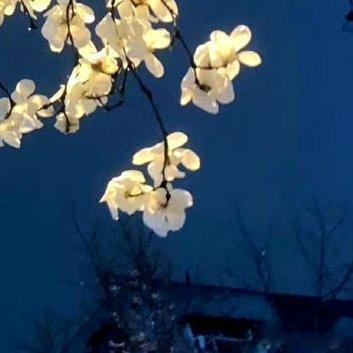 阳光信用‎阳光‎信用 ‎每日一善 善良是一种美德，善良是一种远见，善良是一种自信