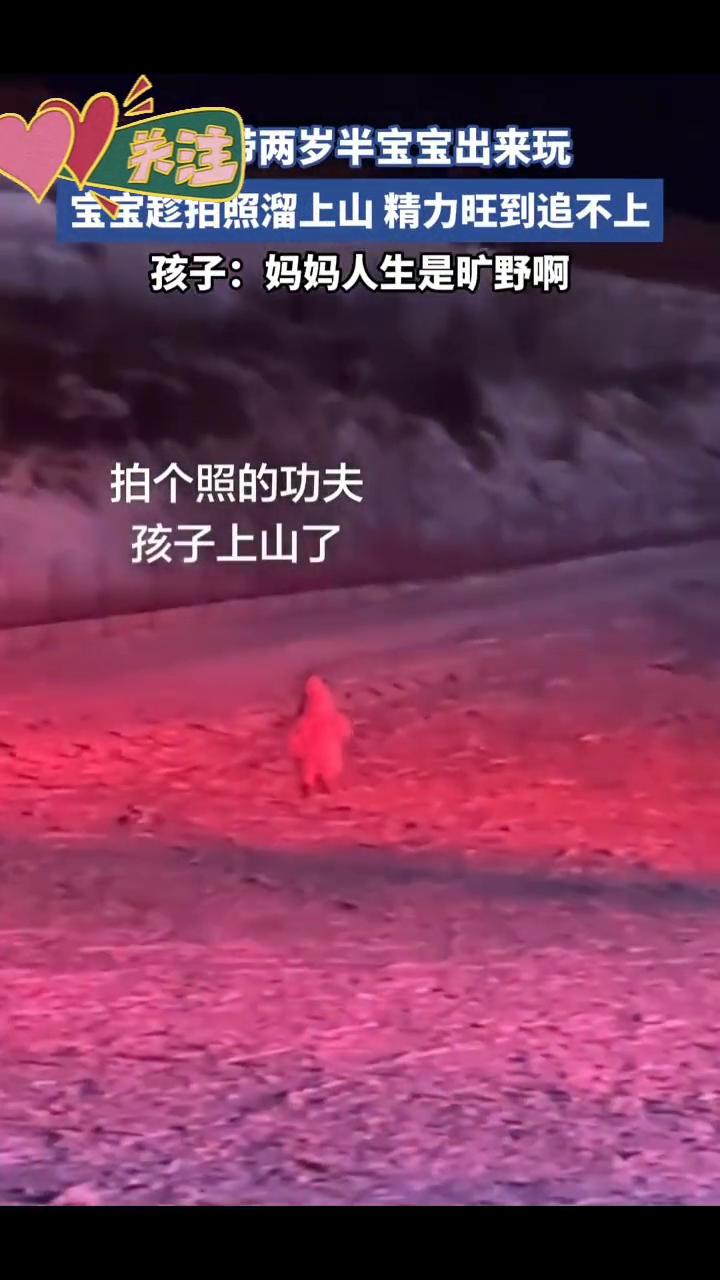 宝宝趁拍照溜上山精力旺到追不上。孩子：妈妈人生是旷野。
拍个照的功夫孩子上山了。