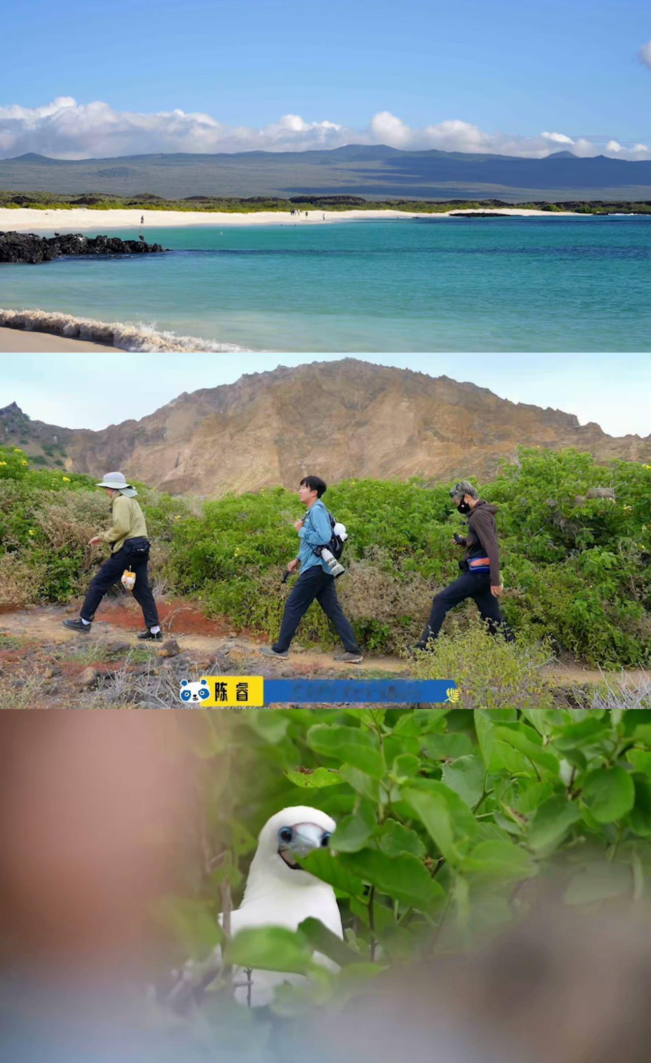 胡先煦人生即是体验卡 被张楚岚帅到后又沦陷在荒野胡！这届00后真·把生活当RPG