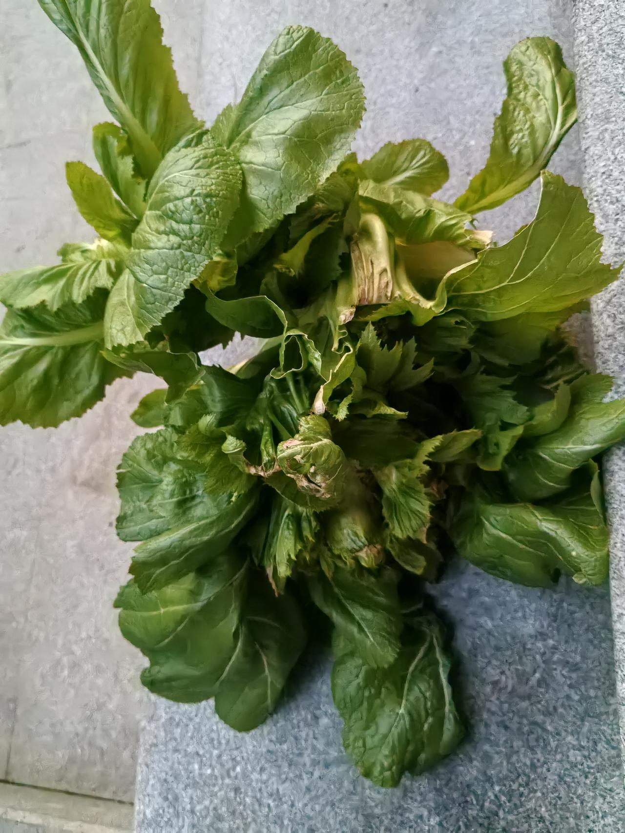 一棵多头菜有多少种吃法？

收获了一棵超大多头菜，足足6斤，去除不宜食用部分，还