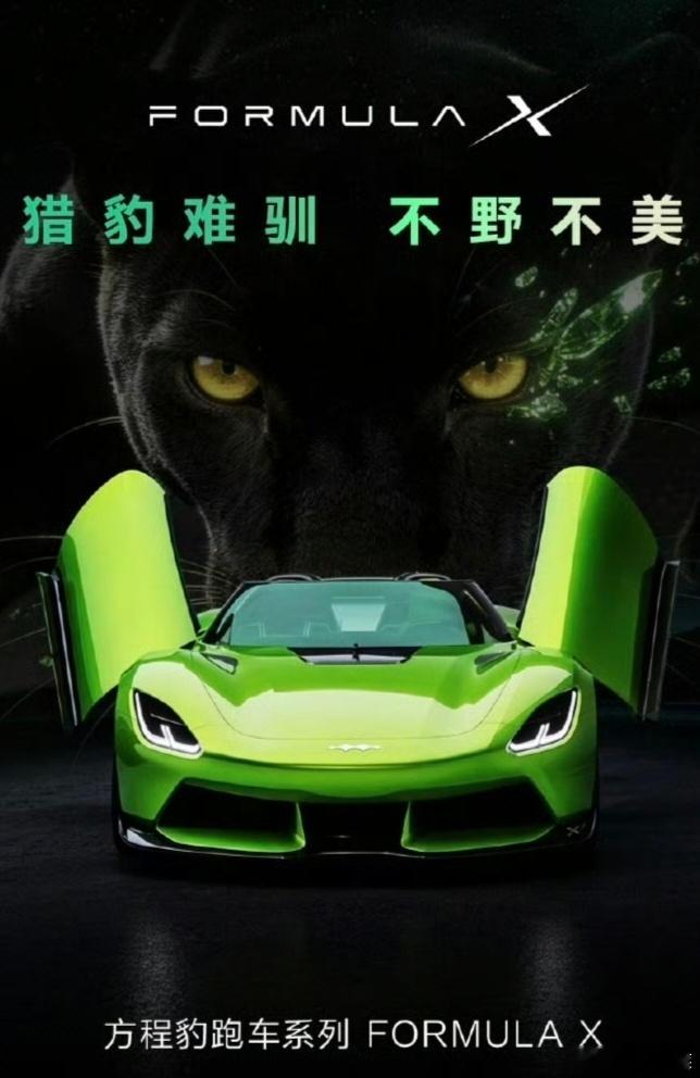 帅啊这车，设计得不错方程豹