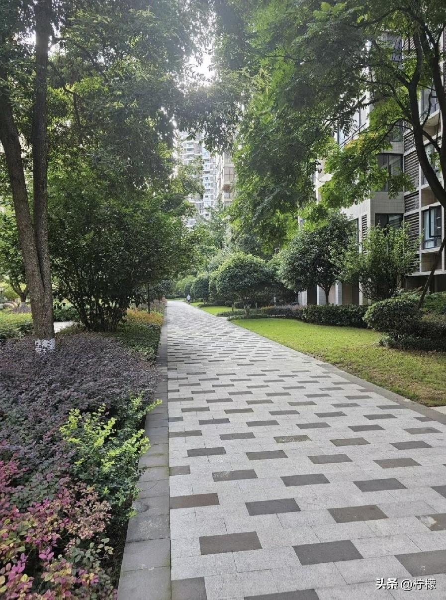 去年弟弟捡漏买了套大家都瞧不上的一楼，房东从65万一路降到25万，最后弟弟直接2