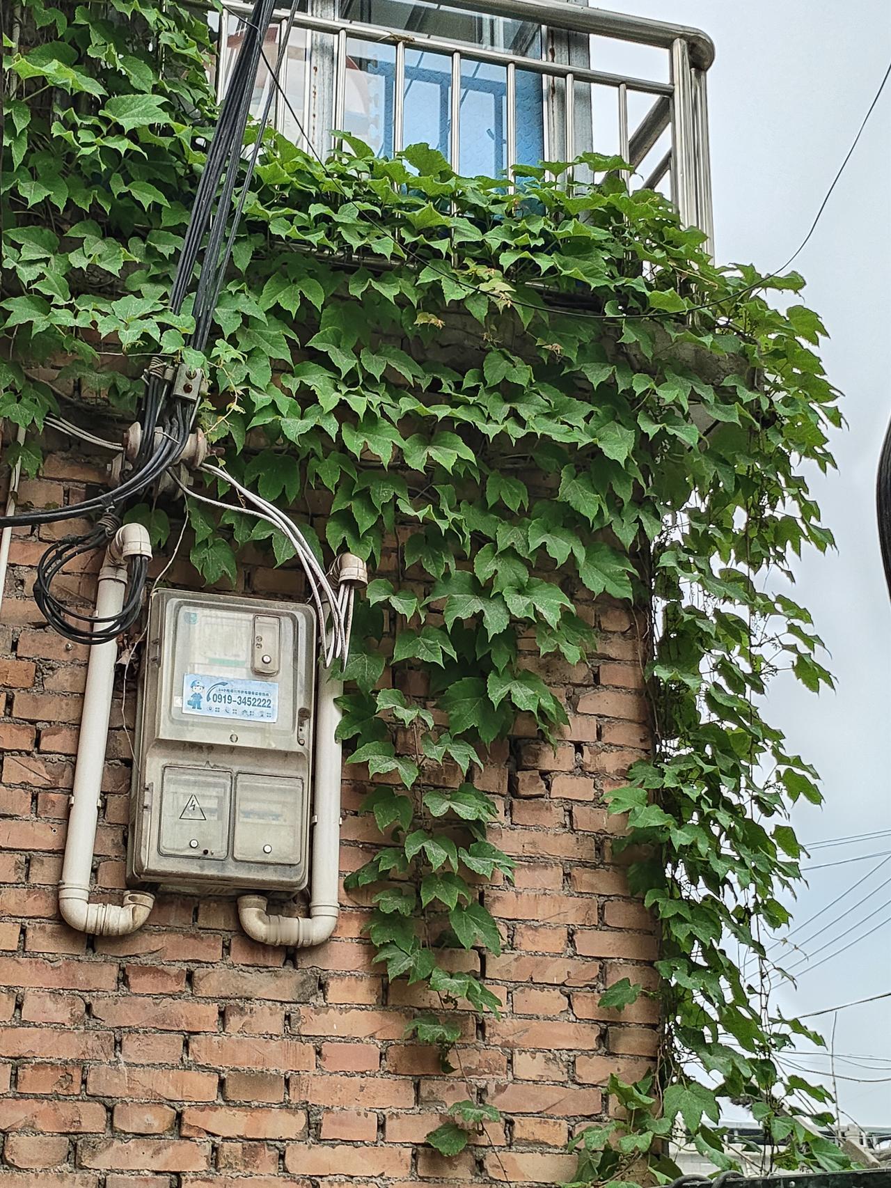 我认为名字根本不会影响运势。
 
一个人的好坏前程，从来不由区区几个汉字决定。家