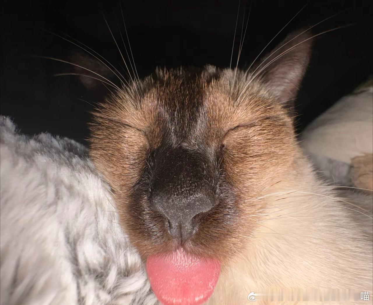 【非】都来这里了只有我后悔没有你后悔的份儿！ 