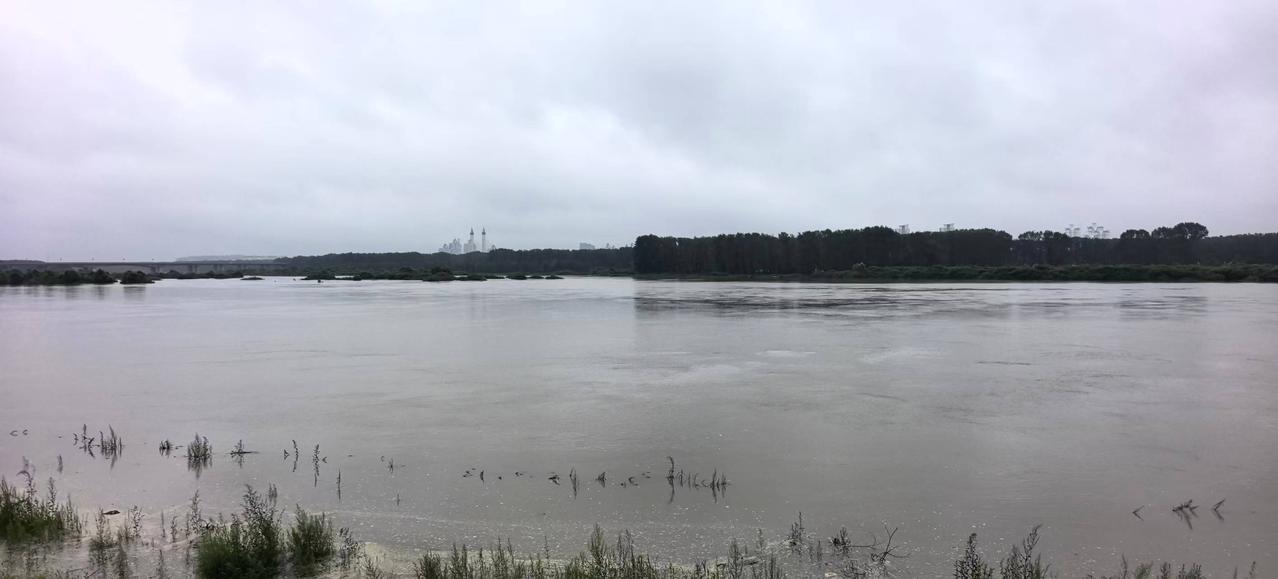 几沉几浮岸边人