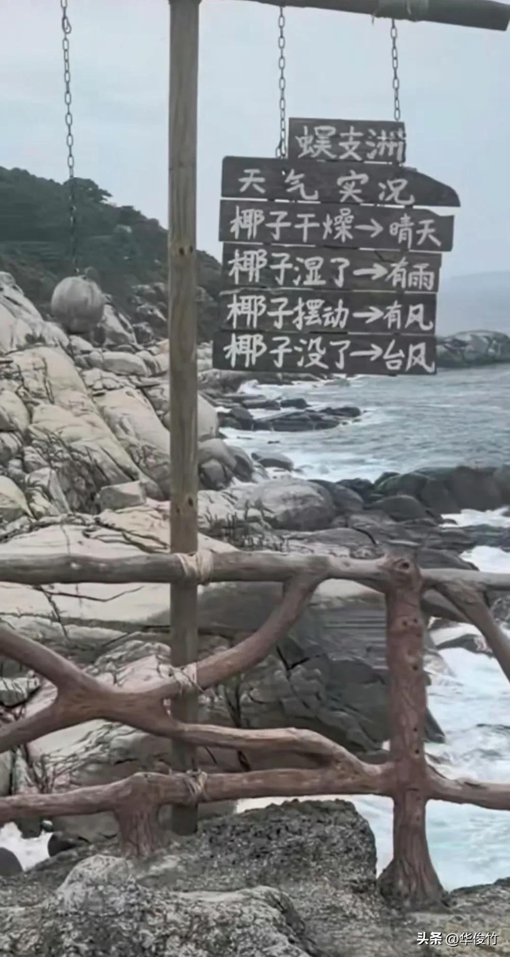 椰子没了是台风，那牌子没了呢？