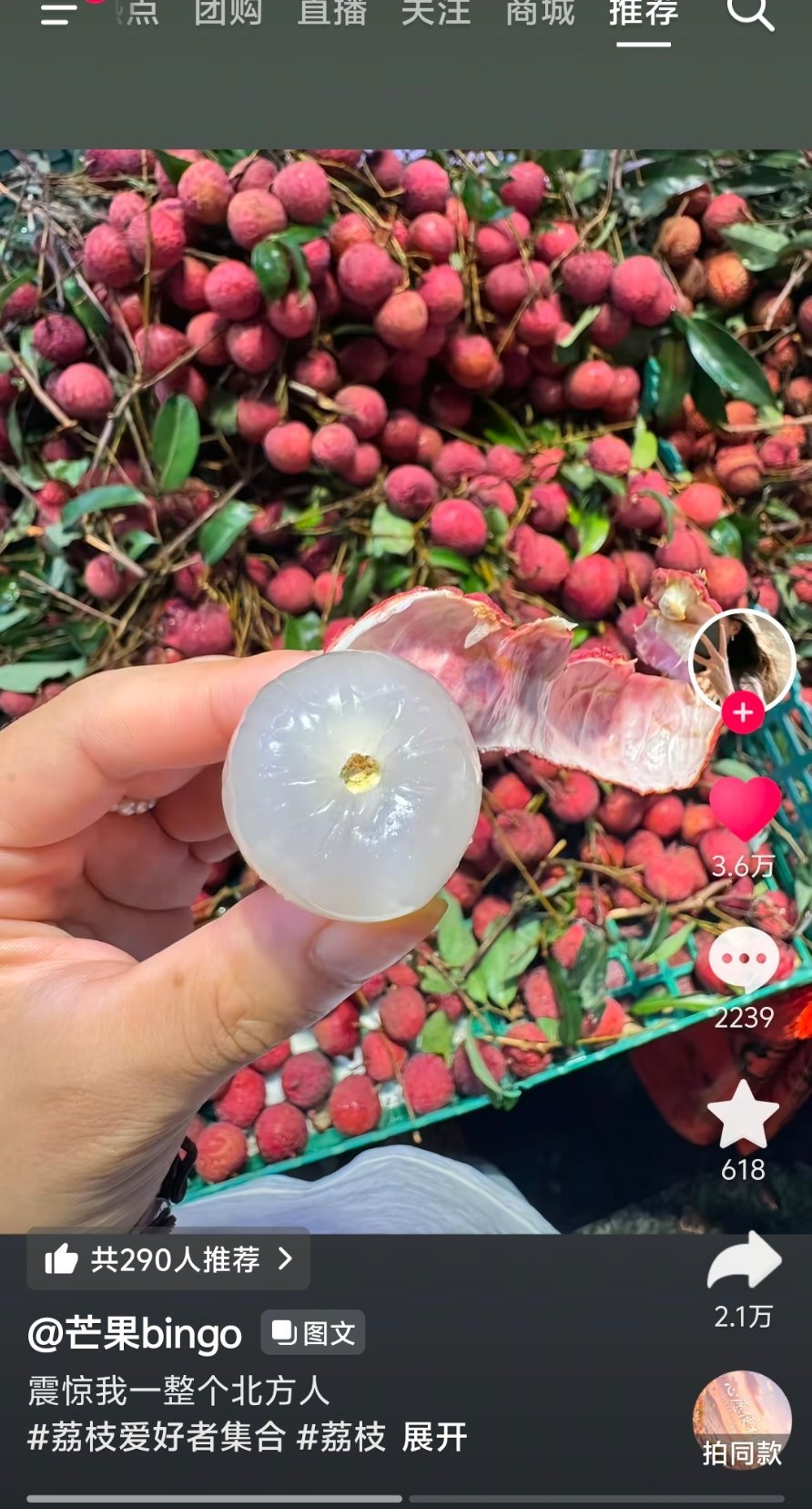 乐死我了我也是最近才知道荔枝还分死的活的这种晶莹剔透的就是活的我们平常吃的那种就