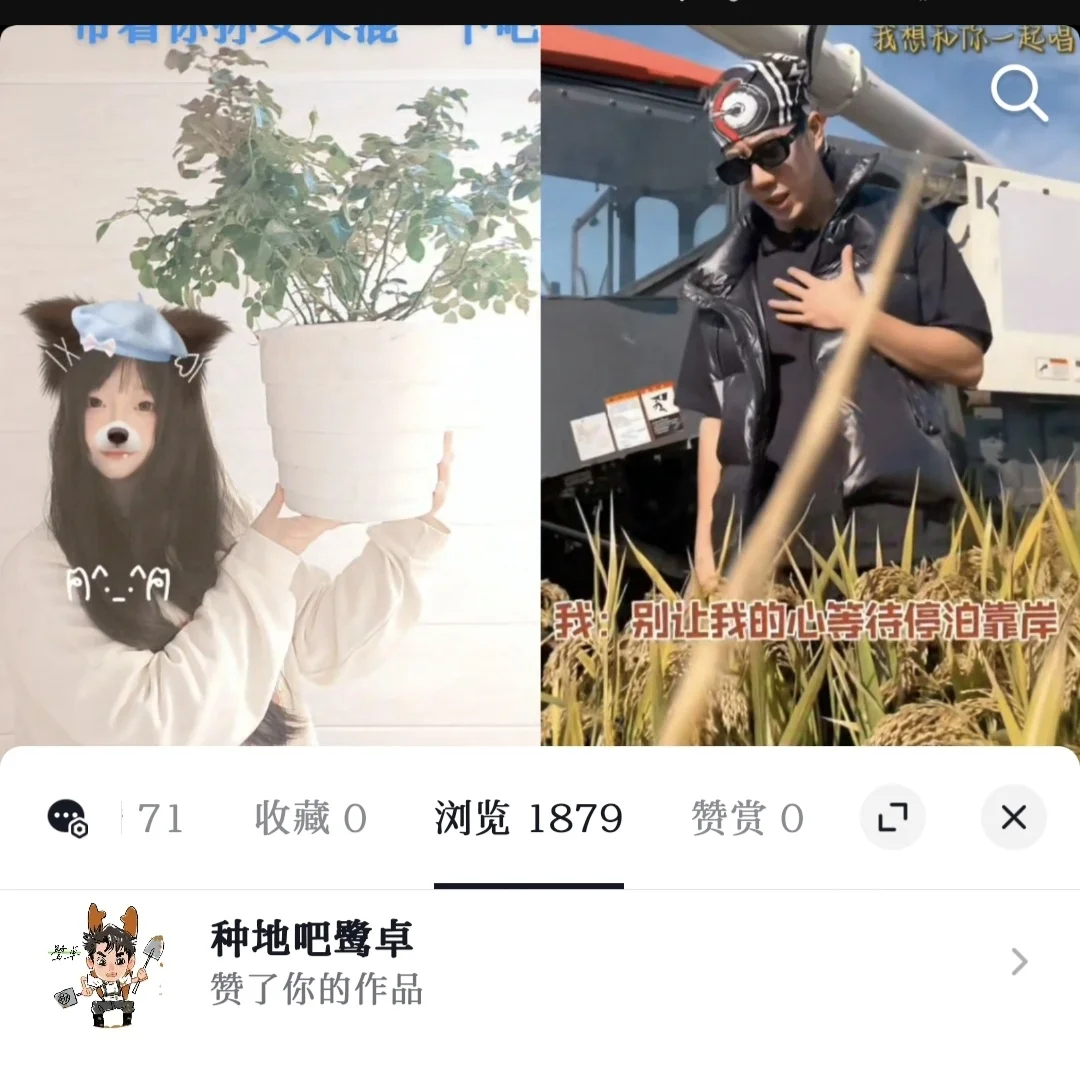 心情好~心情心情好~鹭卓你就宠我们吧