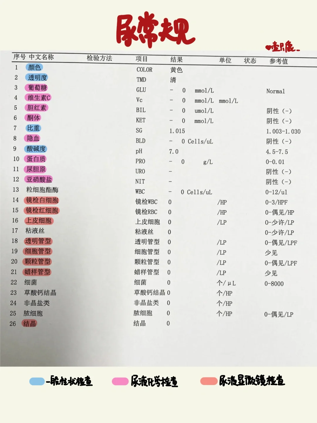 医学生笔记📒｜尿常规解读👩‍⚕️