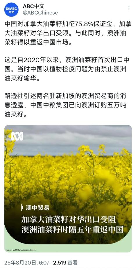 澳大利亚广播公司8月20日写道：“中国对加拿大油菜籽加征75.8%保证金，加拿大