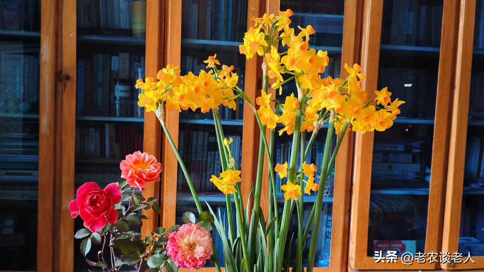 有存款还需要缴纳养老保险吗？

老张今年四十五岁，在县城开了一家小饭馆，十几年下