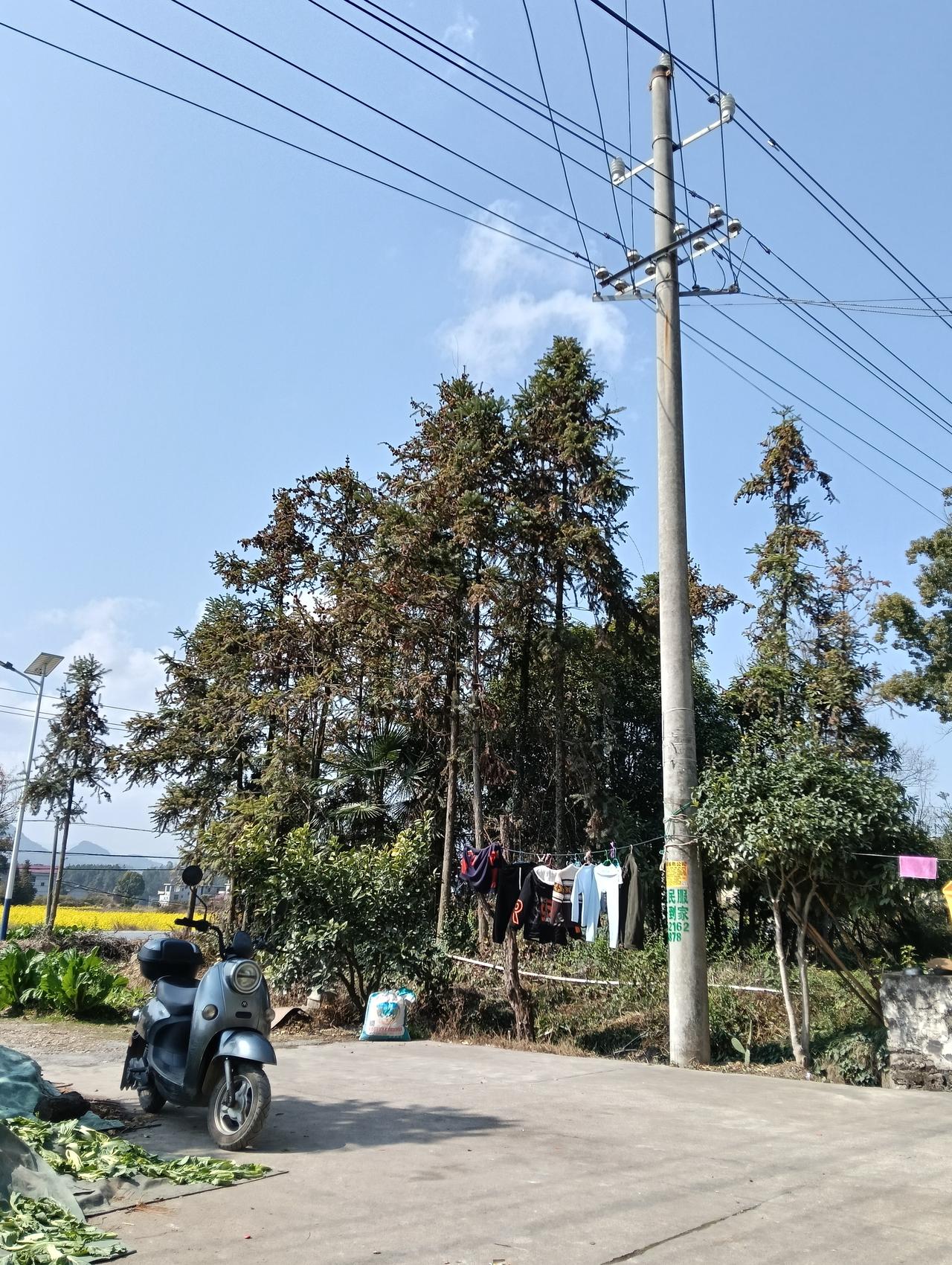 年年顺顺利利，求下联