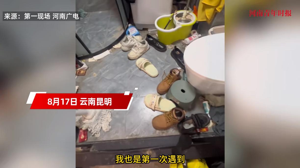 “太缺德了！”8月17日，云南昆明，一房东将自己的房子租给了2名20多岁的女孩后