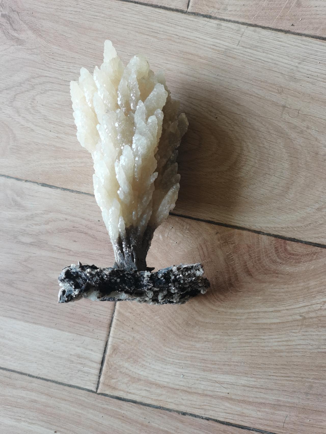 收藏矿物晶体有好有坏。好的方面，它潜力巨大，欧美有悠久收藏历史，爱好者众多，还常
