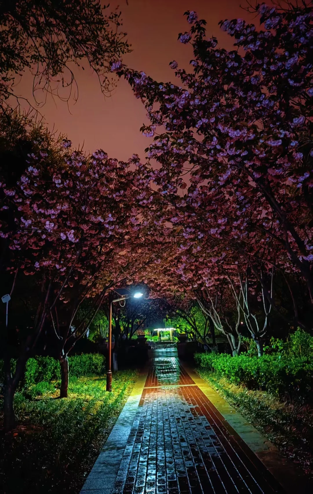 社会化是一个比较现实和残酷的筛选机制。 一个人社会化程度低的困境，本质...