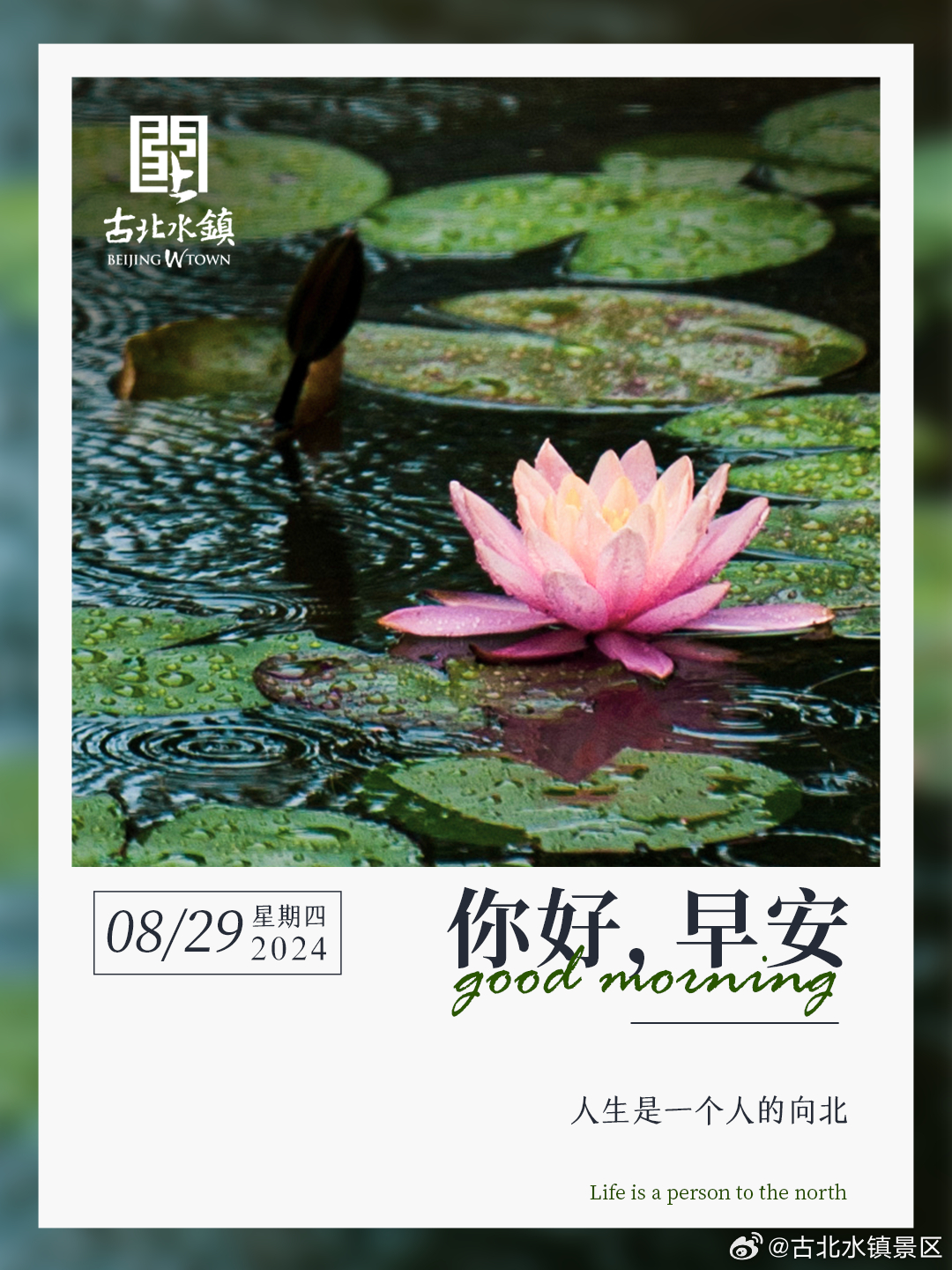 人生是一个人的向北早安，宝子们~ ​​​