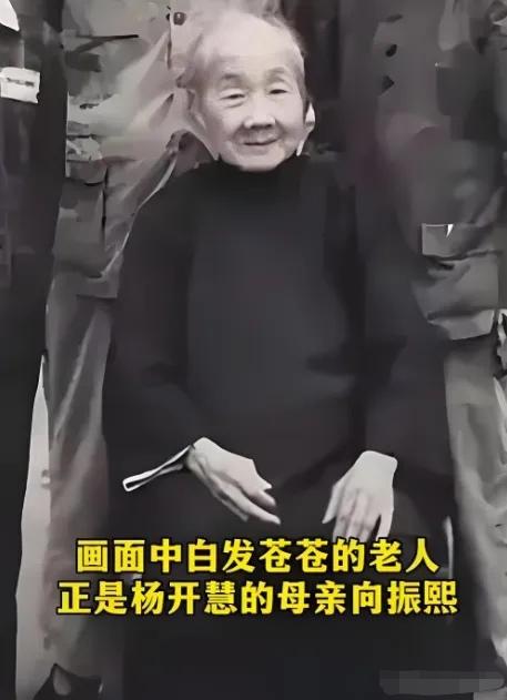 解放后，杨开慧的母亲向振熙老人跪地痛哭，她哭的不是逝去的女儿，而是替那个隐忍二十