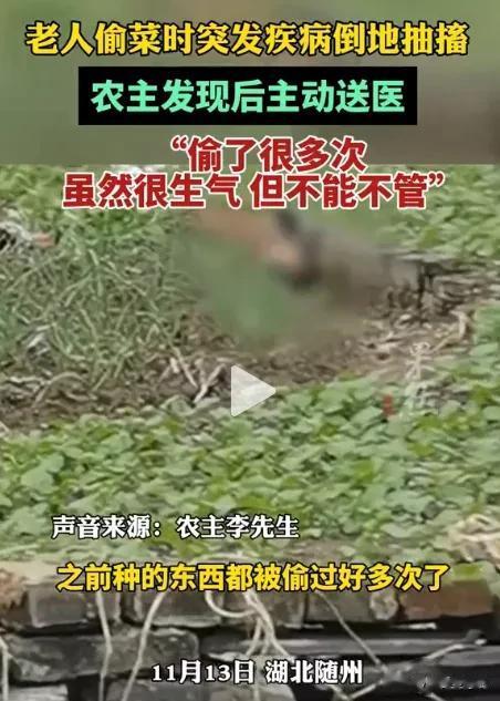 “菜农有格局呐！”湖北随州，一菜农发现自家栽种的菜被盗，而且还不是一次两次，看着