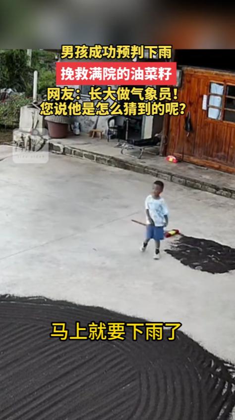 神预测！贵州，一位小男孩站在院子里，突然抬头看看天，说：“奶奶，要下雨啦，快把油