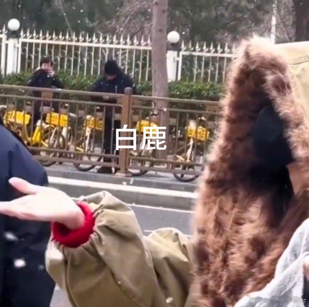 跑男的尽头是春晚正式编奔跑吧 沙溢、白鹿、周深、李昀锐现身春晚联排，这波“跑男含