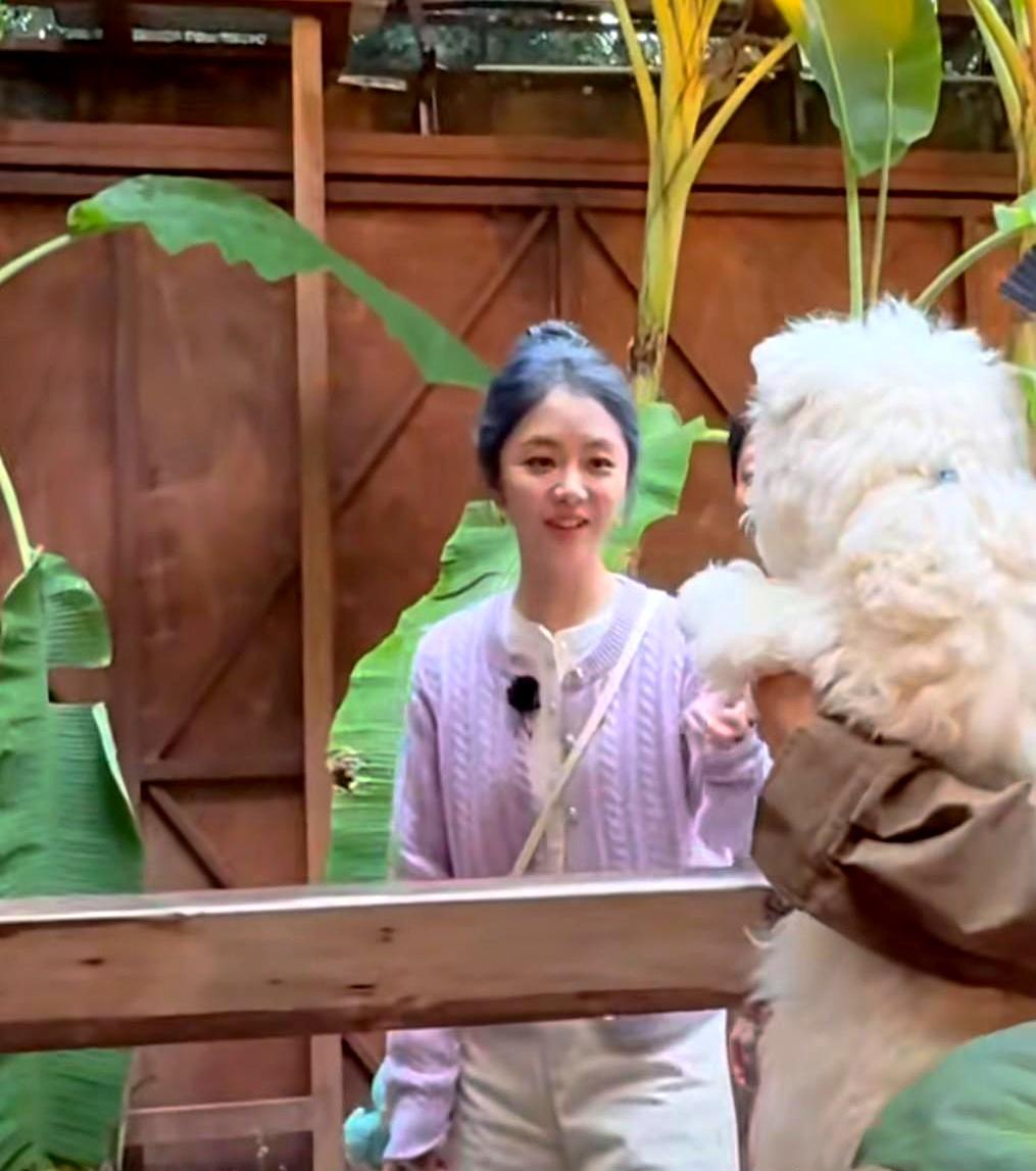 一觉醒来，估计全国人民都知道了
 

35岁的谭松韵这次直接跑回了四川泸州老家录