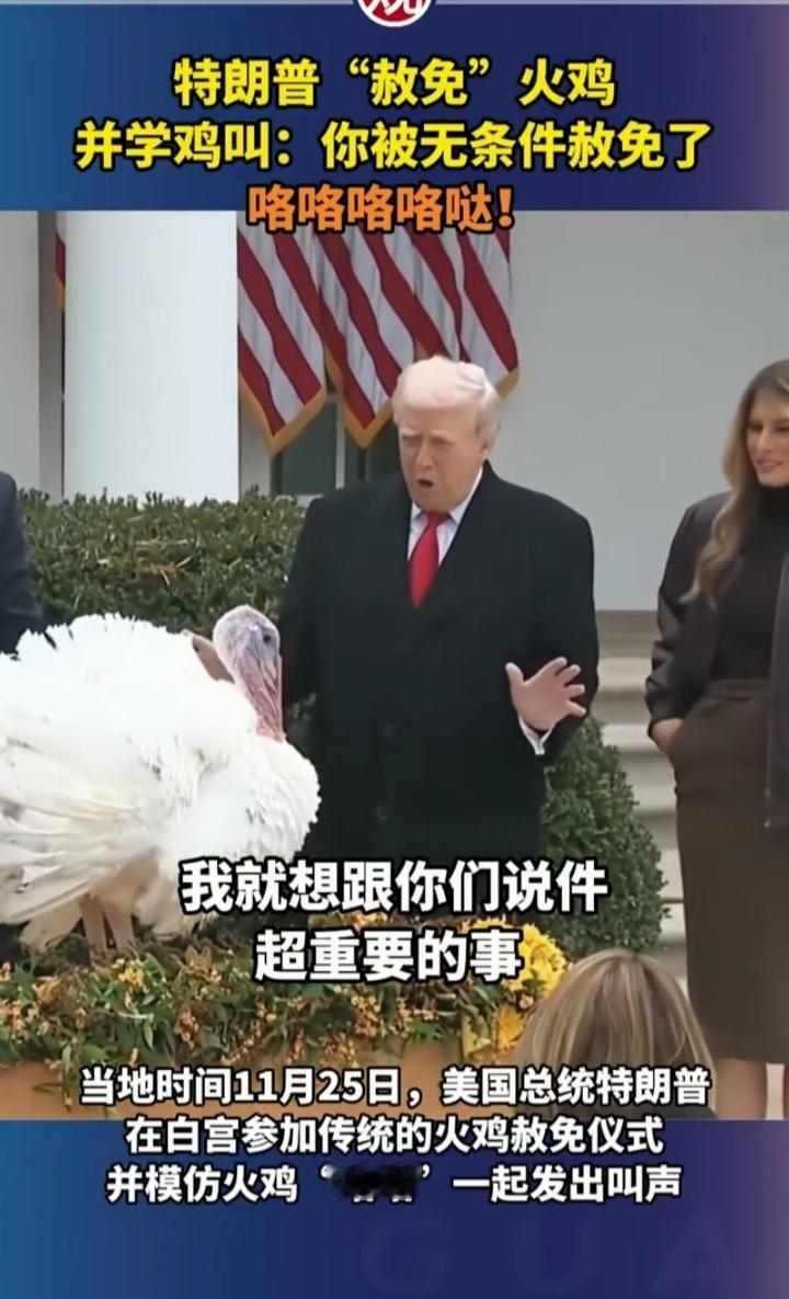 网友调侃：佩洛西要是看到特朗普赦免火鸡这段视频，估计得气的月经不调了！[祝福]