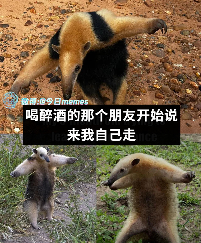 看好了（9gag）今日meme 今日memes