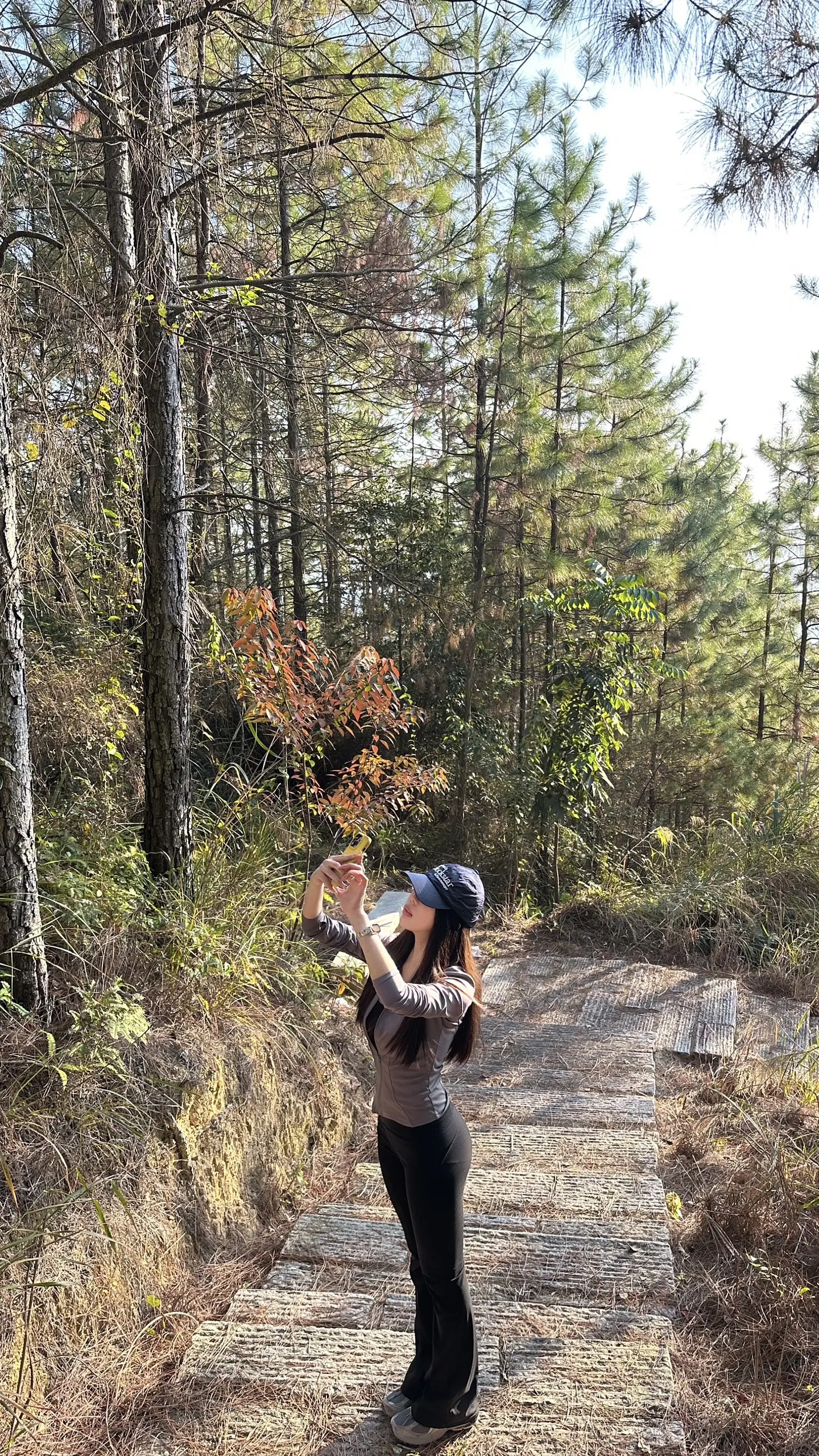 爬⛰️记_