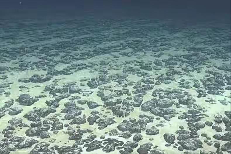 基本锁定胜局后，高市不演了，准备和中方正面博弈这场博弈，中国早就看透了
“不演了