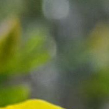正能量[超话]正能量 不要害怕成长路上的困难与挫折，不要抱怨奋斗的艰辛。因为，正