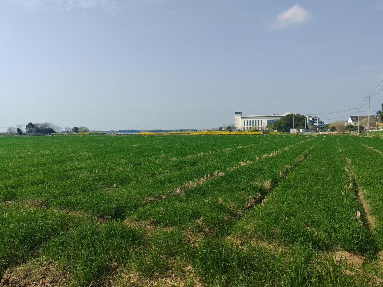 昨天出院今天出战，说好听的叫工作，其实就是为了几两碎银吃口饭，在这个上有老下有小