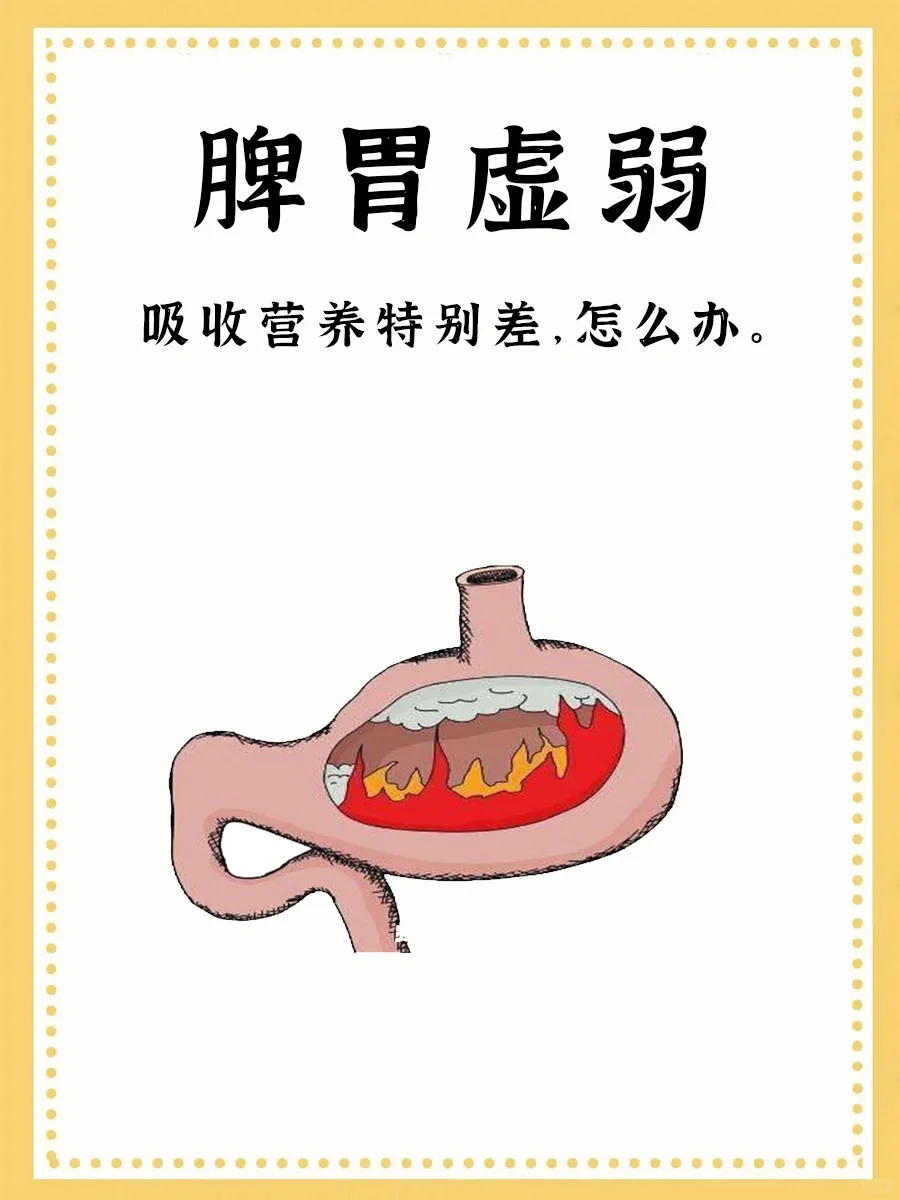 脾胃虚弱，四点坚持，搞定营养吸收