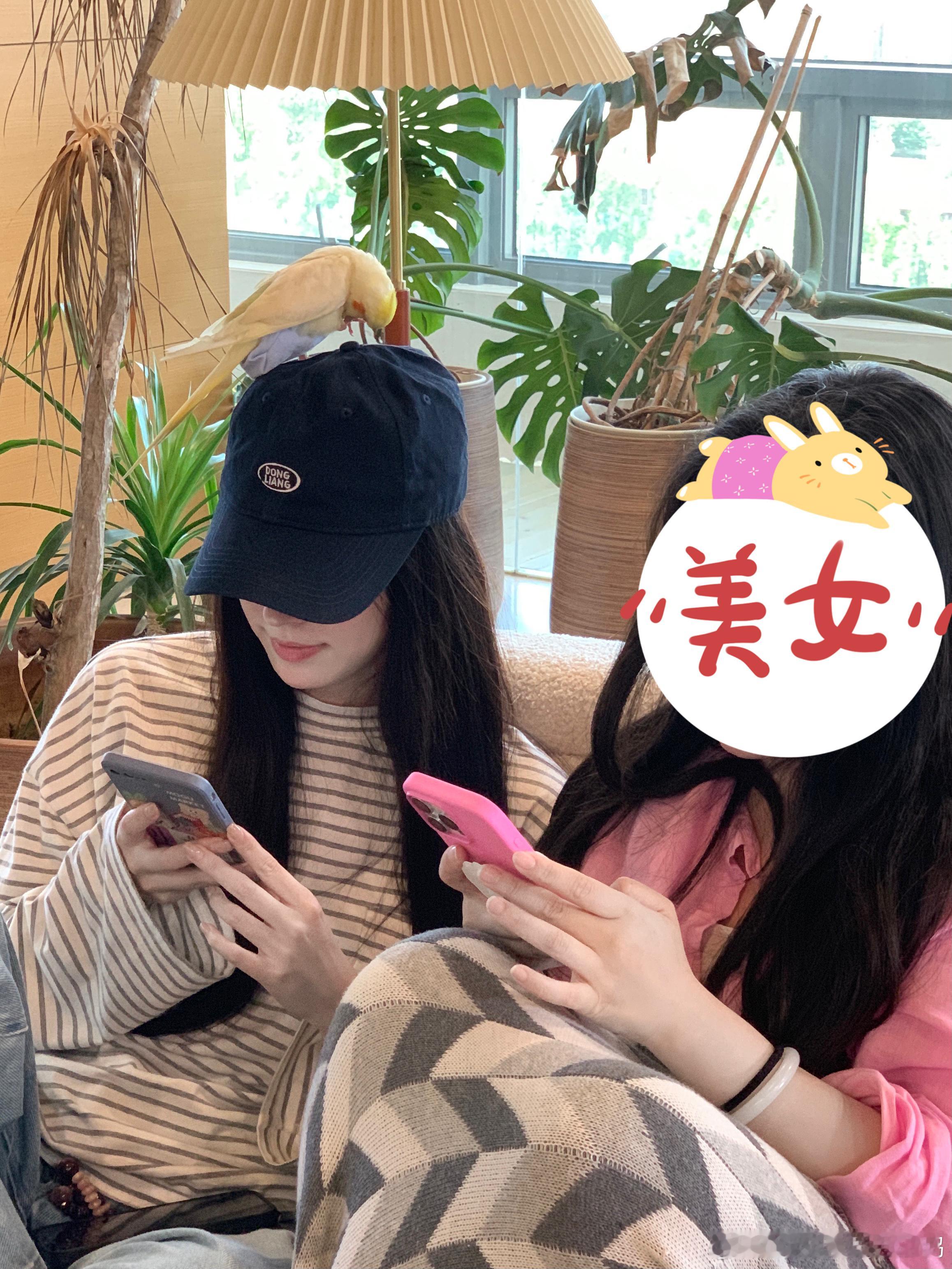选图ing！争取明天早点上预览～先来一波15张，喜欢图几？ ​​​