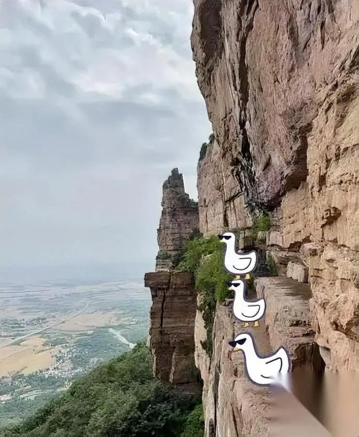 南太行龙哥走了。

没人敢信这事。

出事的路他闭着眼都能走。

在南太行待了几