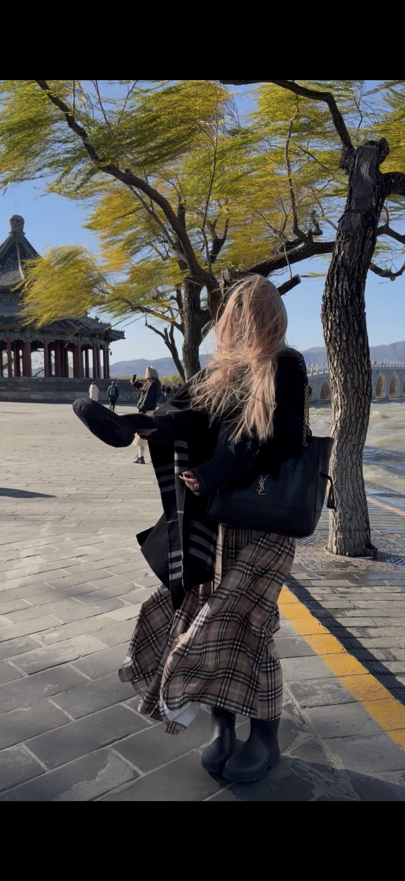 北京 你一直在针对我 昨天去首都宾馆看银杏 结果全掉了 今天去颐和园拍...