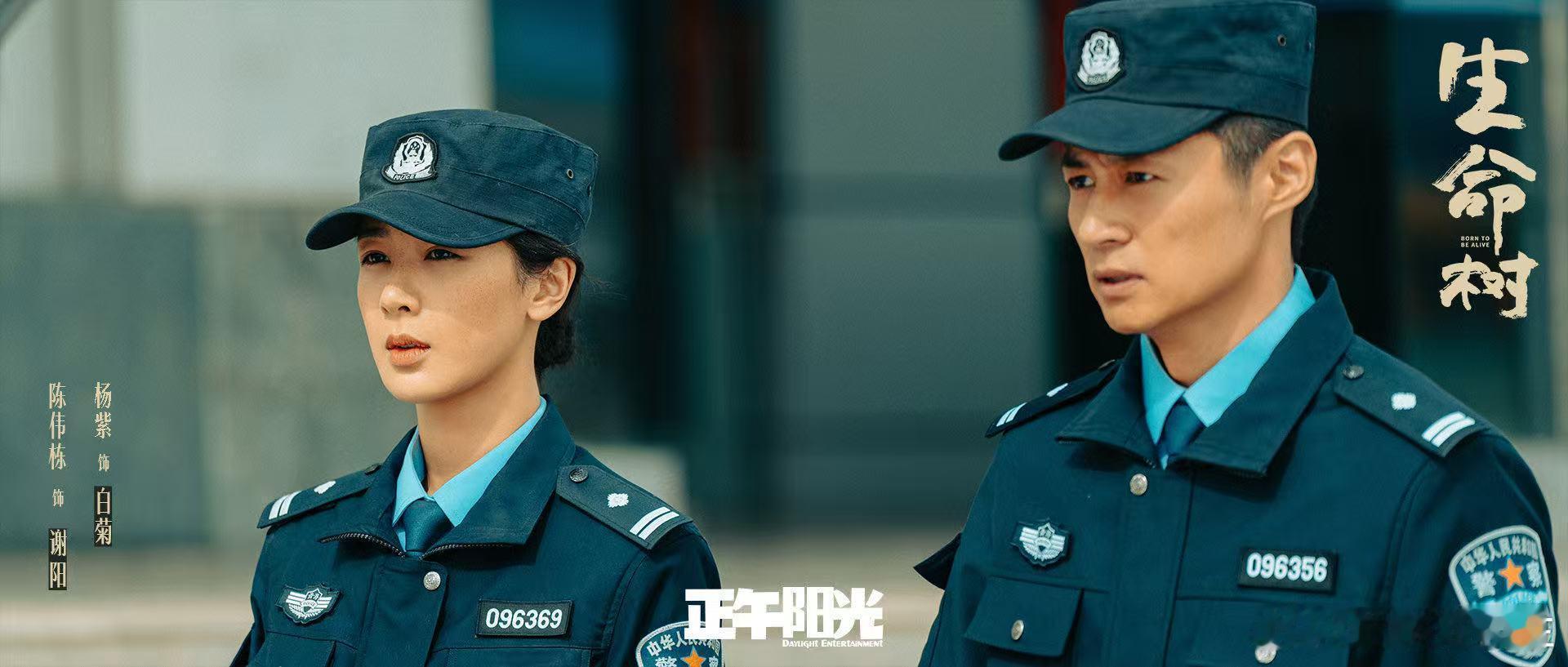 生命树最厉害的地方 不只是讲冒险和博弈，更是讲人在现实里的坚持，每一段剧情都戳心