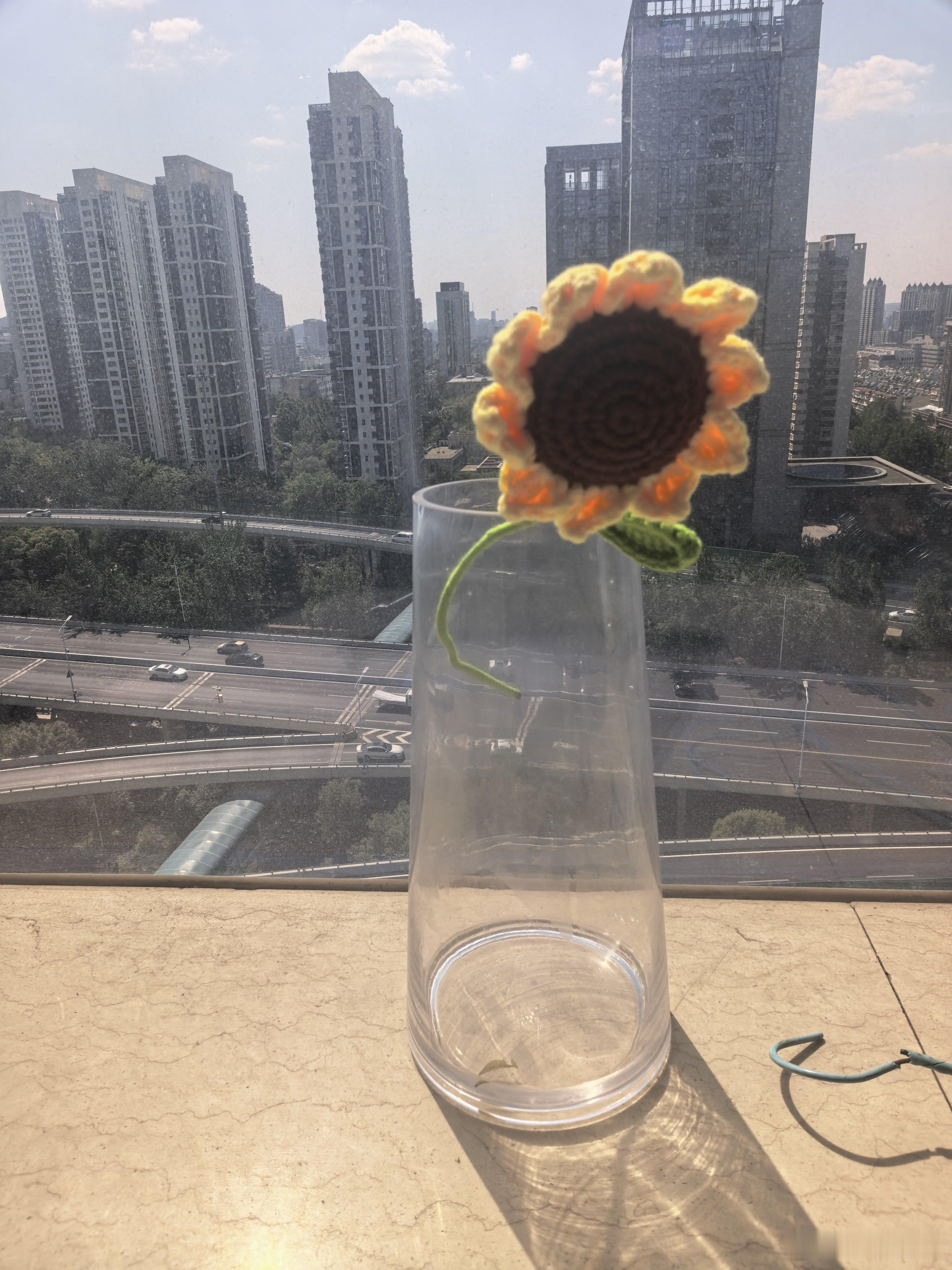 一个小姐姐送的花瓶，一个小姐姐送的花。 