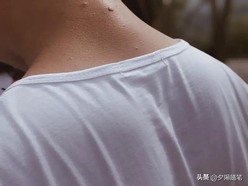 三伏天多出汗，对身体好处还真不少。首先，出汗能调节体温，在酷热天气里维持身体的热