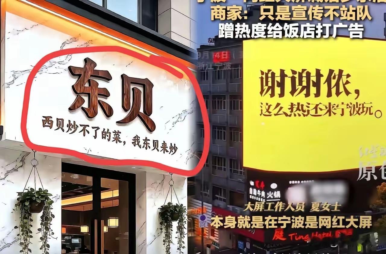 流量之下人才涌动啊。
“西贝炒不了的菜，我东贝来炒”这波流量蹭的让人不得不服啊。
