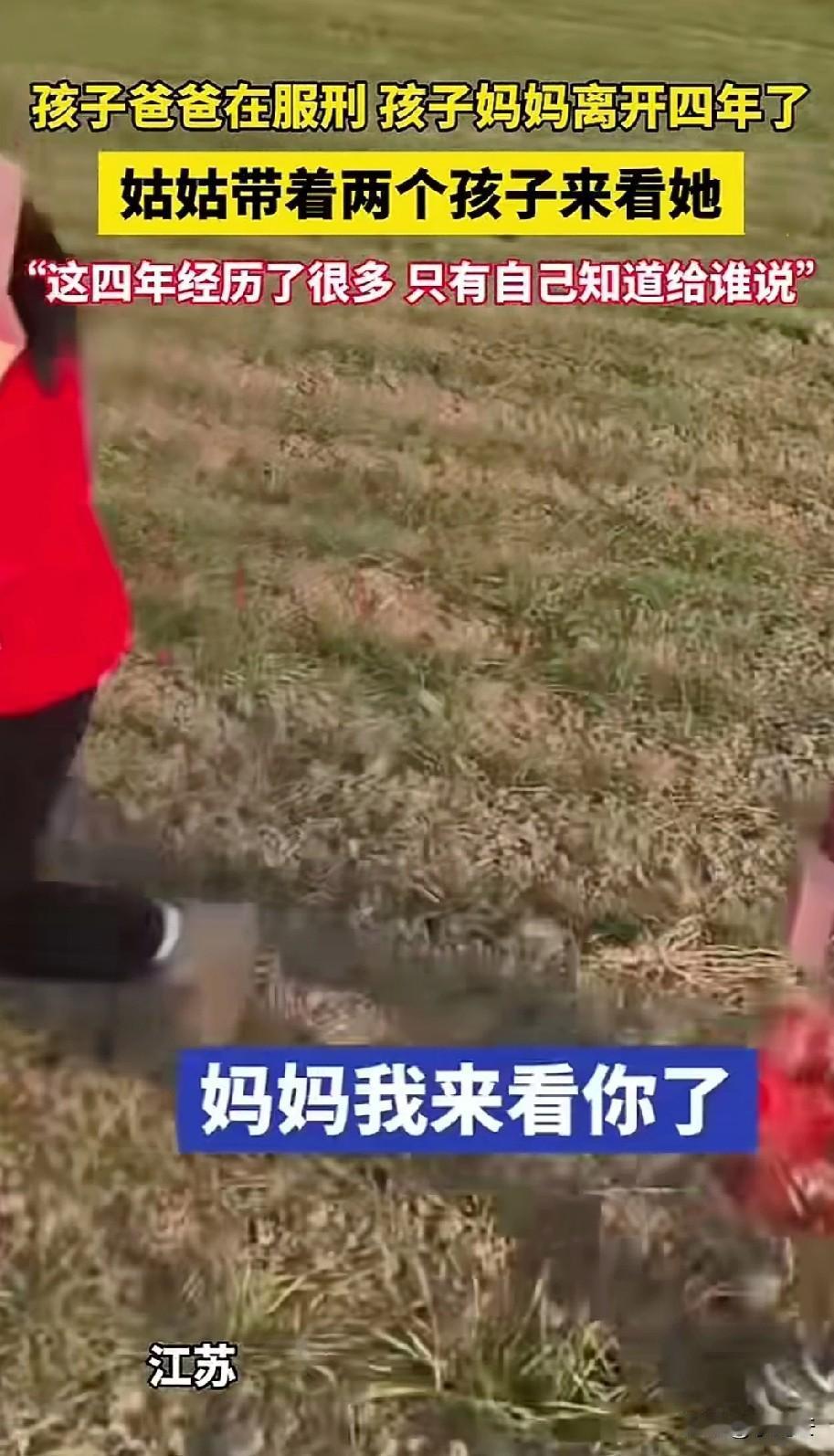 一女子发视频，哥哥在服刑，嫂子去世四年，她带着两个孩子去看望妈妈。大侄女对妈妈诉