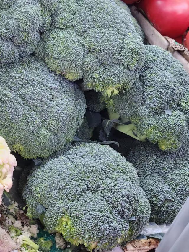 西兰花怎么清洗才干净、怎么焯水才嫩绿
一、西兰花怎么清洗才干净
1、初步冲洗：将